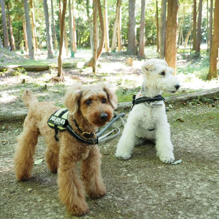 42a4f900 359a 4a0d 9fe2 c36b606bac32