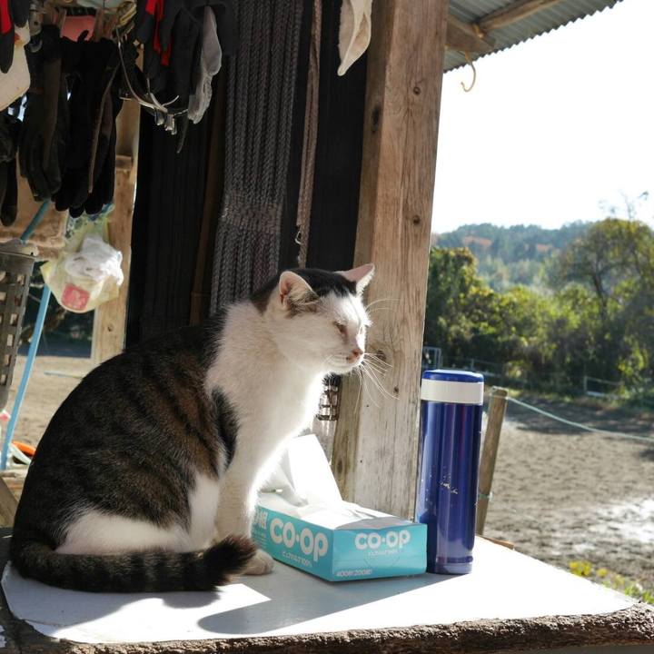 42a576af 9a50 4e8c b400 3ceb64d68344