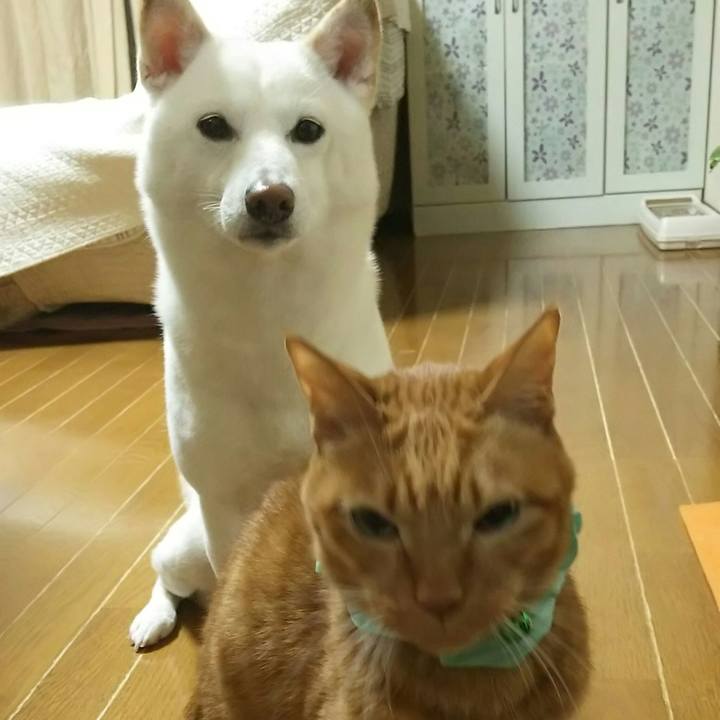 42a59802 12df 4286 8213 495b144d4d80