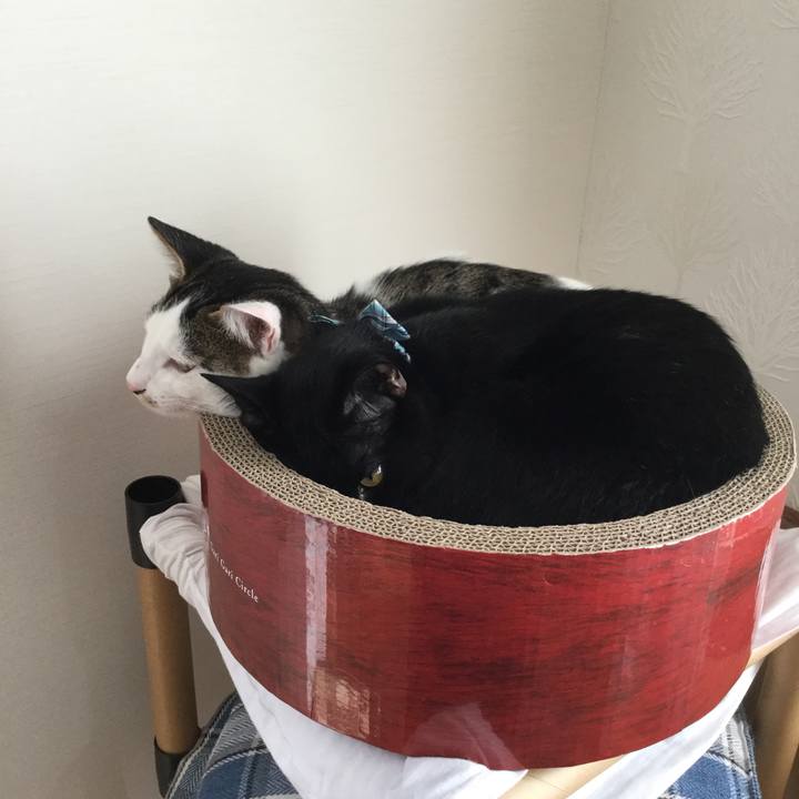 42a5f8fa a860 41e5 b93c 78e13299d411