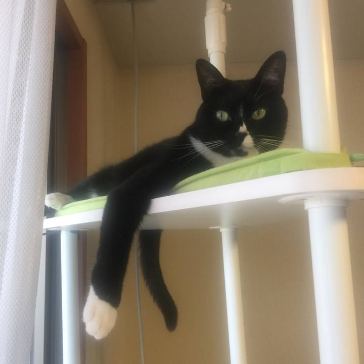 42a6274b d2f4 4f76 9f50 541bd156a448