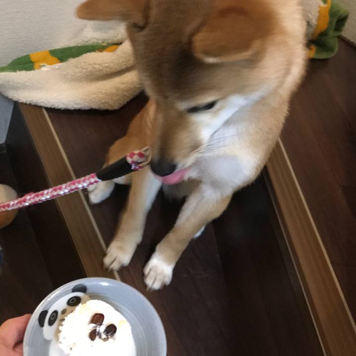 42a66f02 4f3d 4c13 a48d fc603ba6c4a6