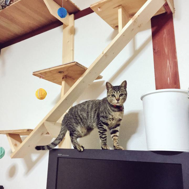 42a6792f e030 4273 af26 2395e9808ed8