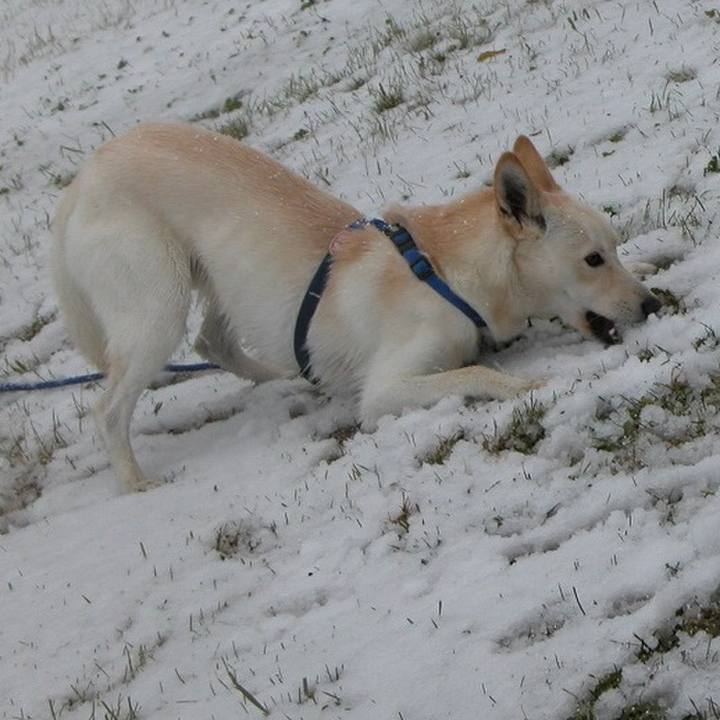 42a67af3 eb7d 4e0d a0fc 9ac690b79cd3