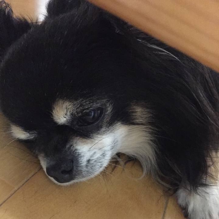 42a70725 68bc 4aec b052 981ad636fe46