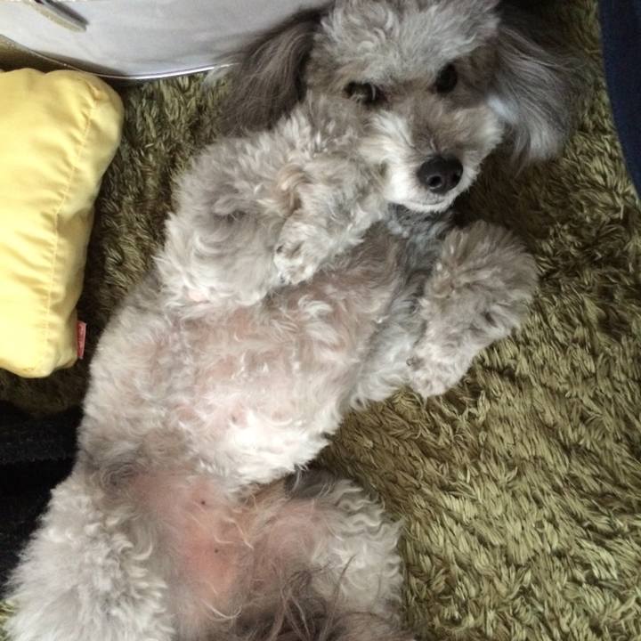 42a84a6a a9af 4fb6 90de 53df08edf0d9