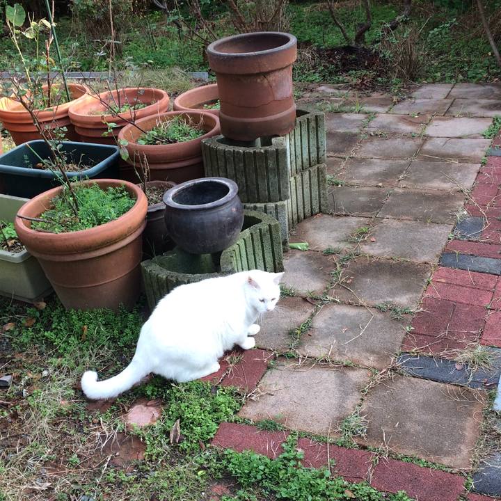 42a92ea4 59dd 44d7 bd3f 6f2686ec33a7