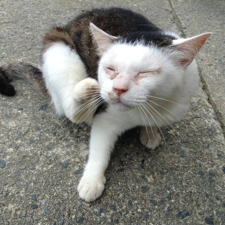 42a9c684 f877 4a54 a640 9514ddc17cb8