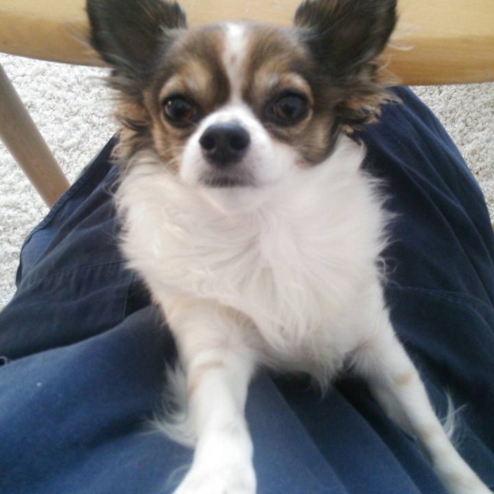 42a9cad1 f867 4d43 b0ec 365e84248121