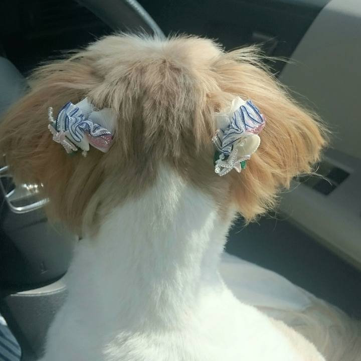 42aa2c9d bd3c 431d 96c3 d3cb70a6ceda