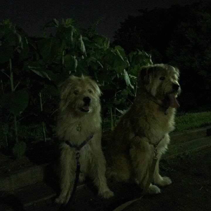 42aa4965 8391 4e78 98e7 d503af05a5c0