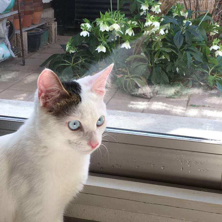 42aa74a2 8cdb 4443 ada4 f8bb980b70e7