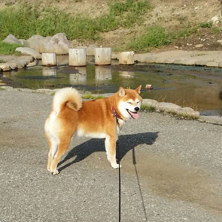 42aa766a f4b4 40dc bbba 9140e5c73bb7