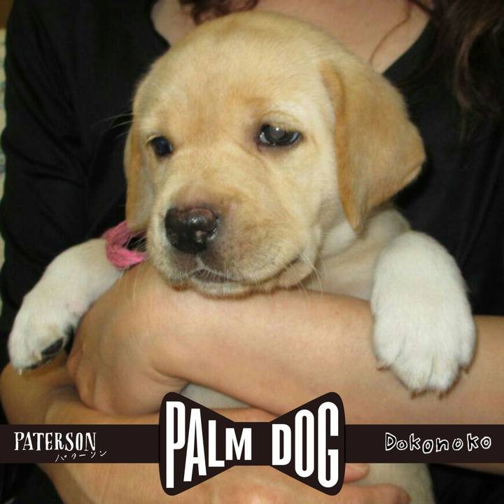 42ab4acb 1da6 4de3 9b1c 05b141e2db90