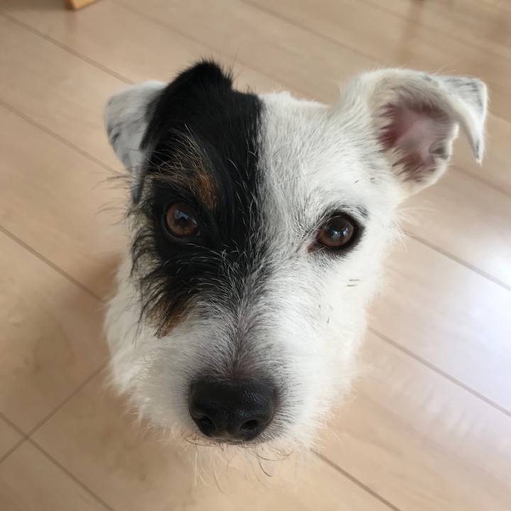 42ab9d4b 66cd 4792 be72 f646b465958e