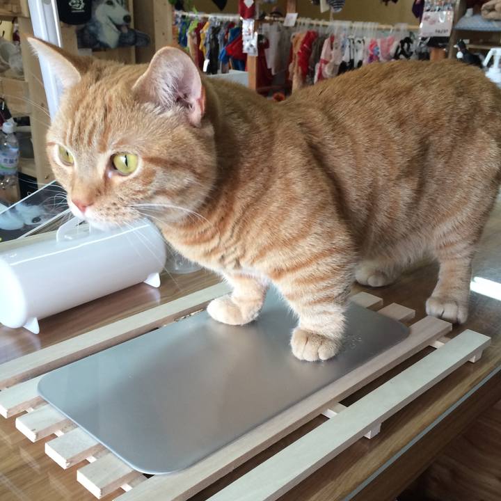 42ac0aa3 999c 4d13 ba75 0a58507e681d