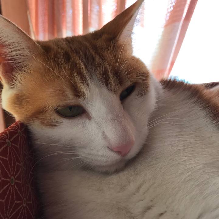 42ac2829 a05d 4845 ae93 ee92af276f00