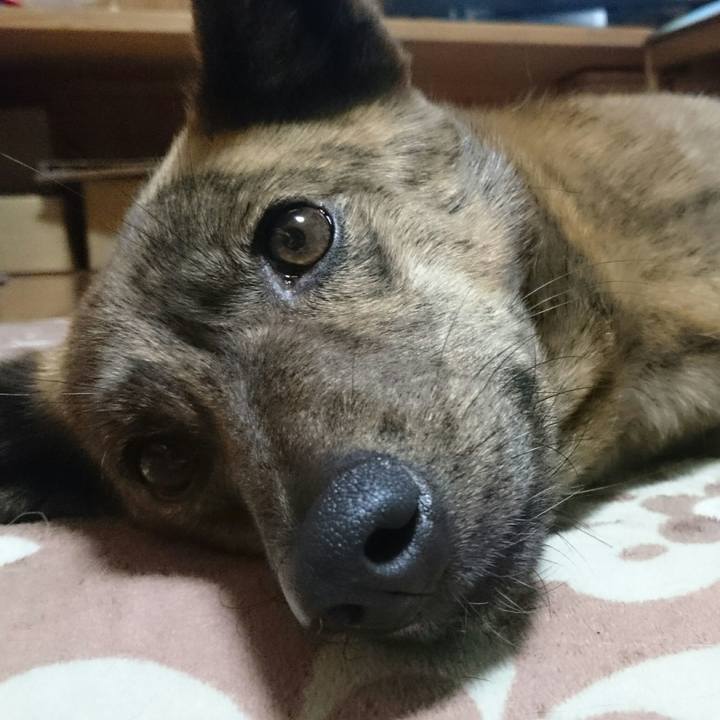 42ac4e91 8a09 4d04 8c35 a616770ea6a4