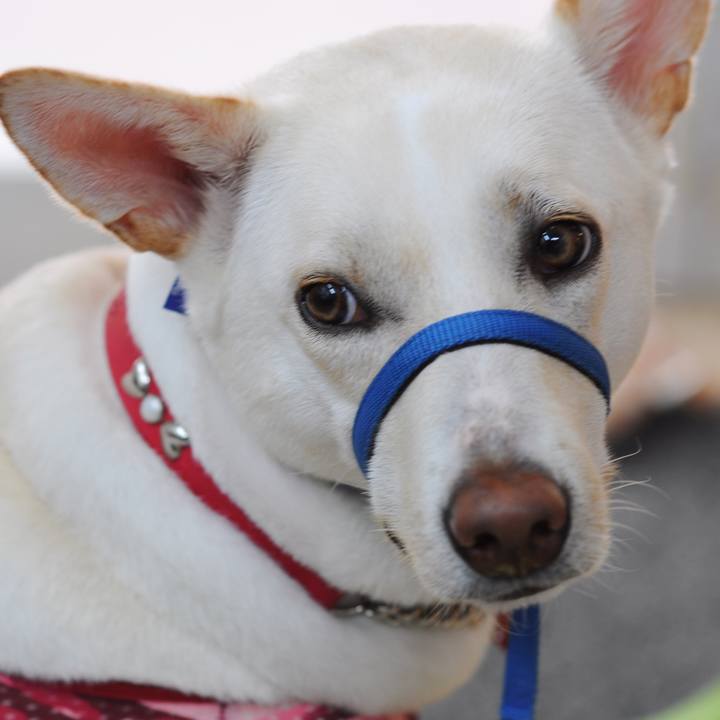 42ac7ede af8e 4540 8f48 a804aa6d8ce0