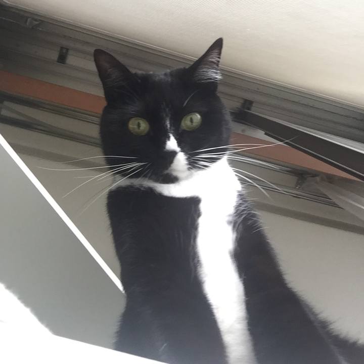 42aceb08 7c51 4b68 9656 98b3bad9e561