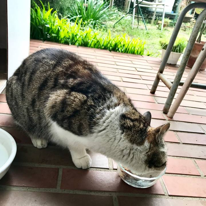 42aceec0 0b17 4062 9b06 1e5cc75bbc4a