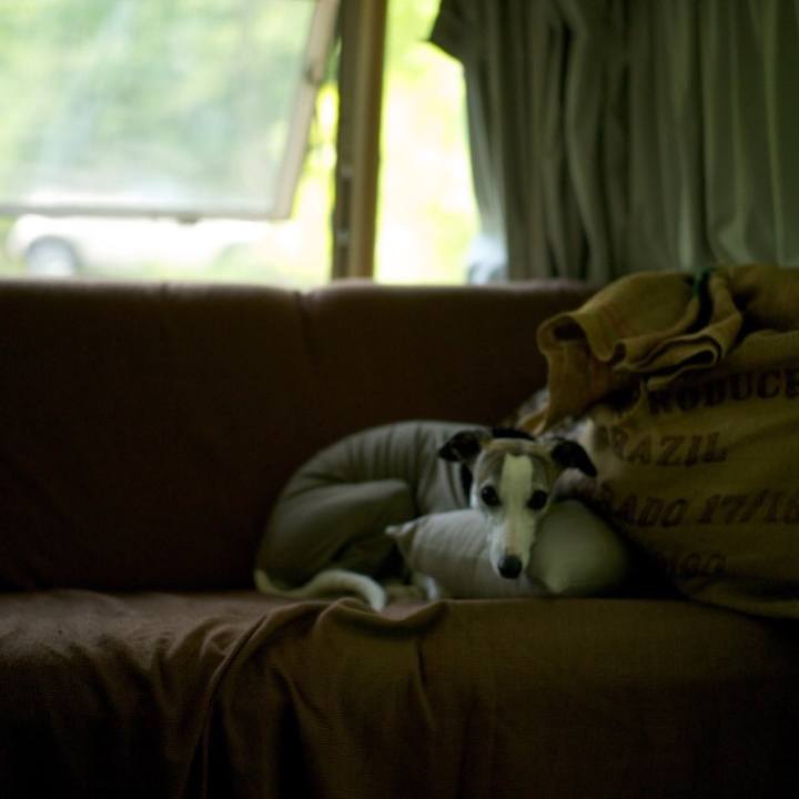 42ad2cb4 a785 425b a0d2 43fd6ea94045