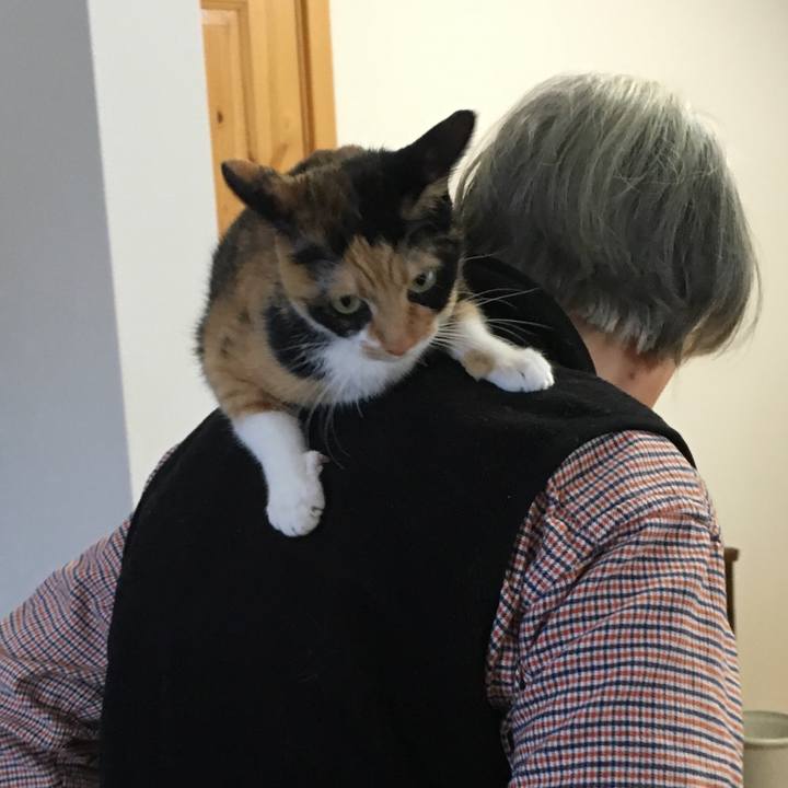 42ae108b f48c 49be b861 495f88411037