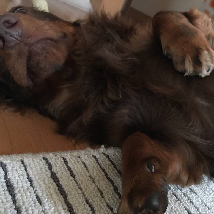 42ae222b dd62 4898 aed9 b8bece011cc6