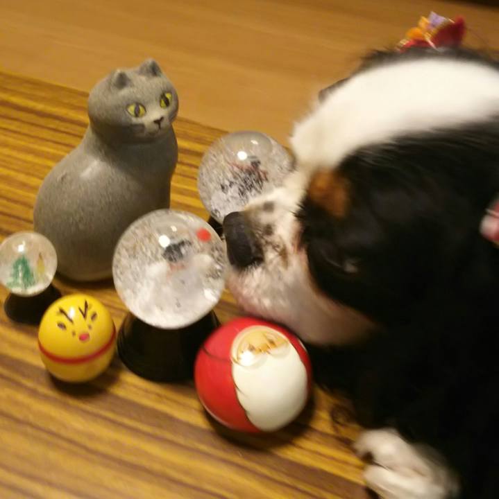 42ae5ce6 1413 4b89 a993 6e2453de5351