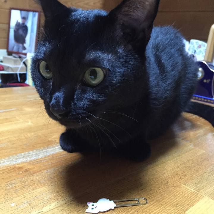 42af0eef cacb 44c8 824c 5d3d6387474f