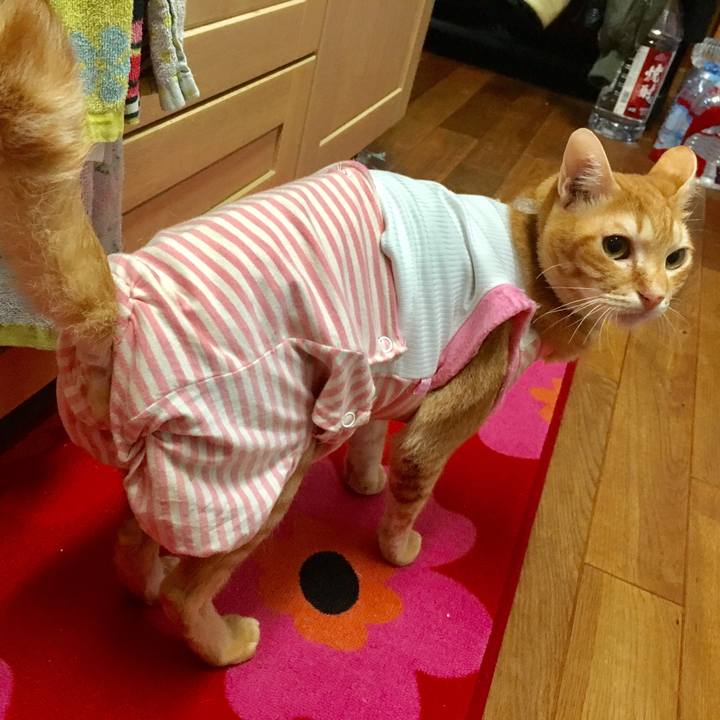 42af9f44 3163 4cdc ae9b 9da087e54b79