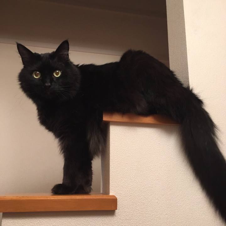 42afa6d0 2f9a 413c 90d7 b71eee54654c