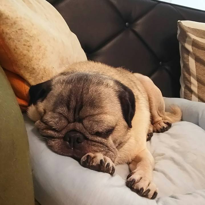 42afefd2 47a6 438c 86b1 02e74103cf7b