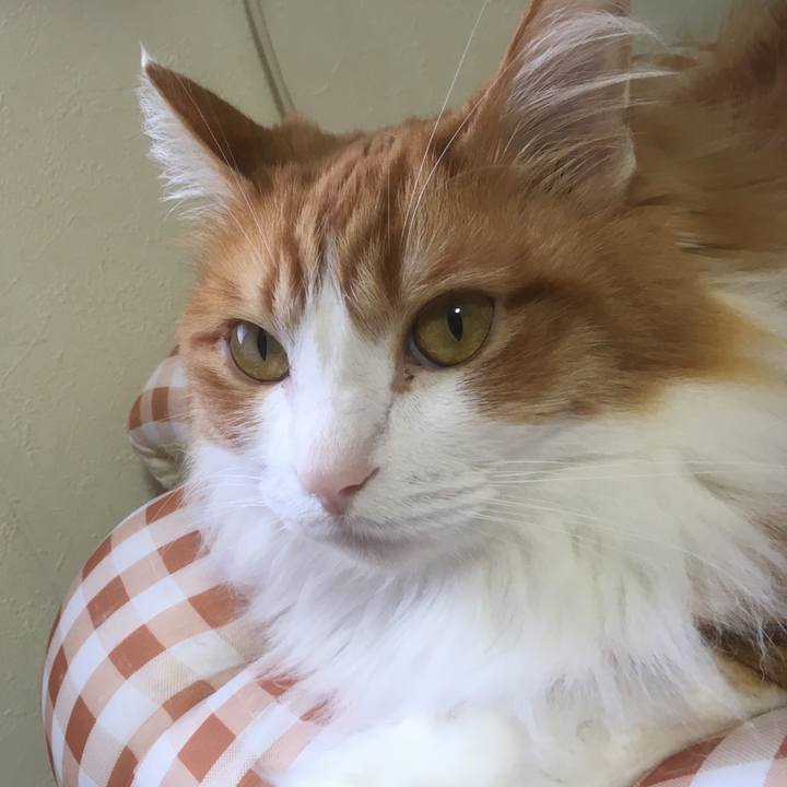 42affe10 2a1b 4262 a12a 1ad6c91ffc8c