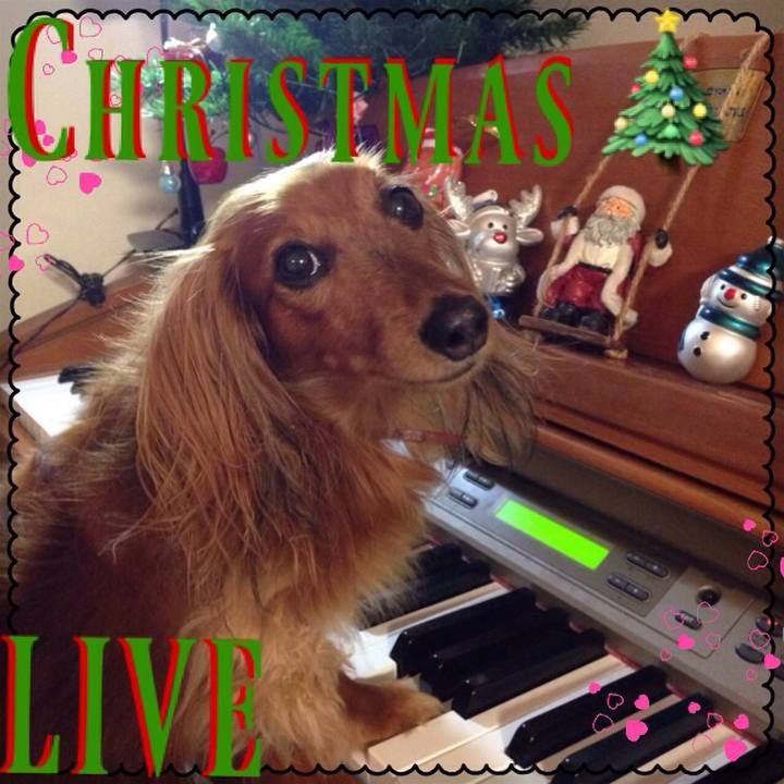 42b01408 75b8 4da0 aead 8097496753b1