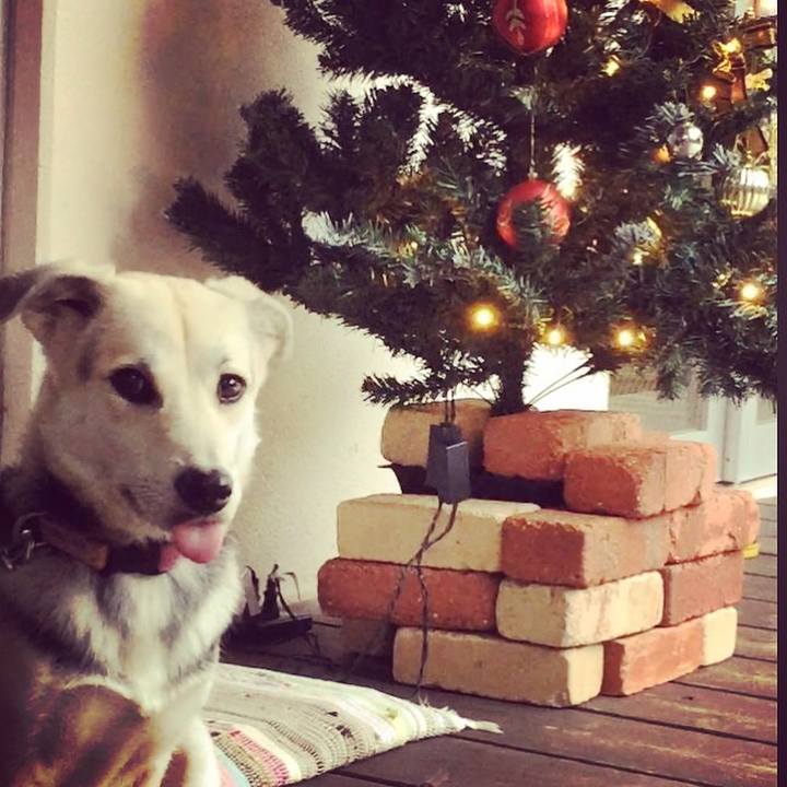 42b0250c 4703 4799 91d6 64c41d51385e