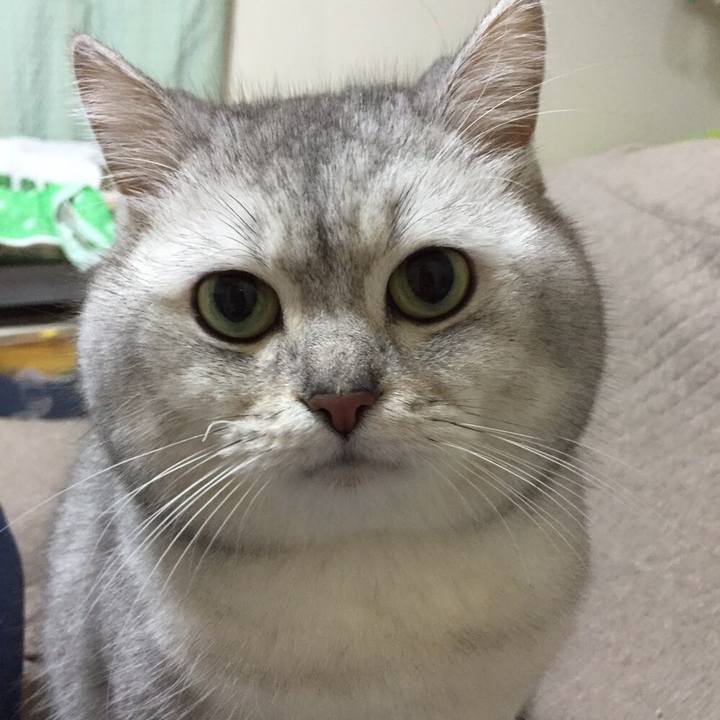 42b04885 0c16 44c9 845c d7b4d7a87e99