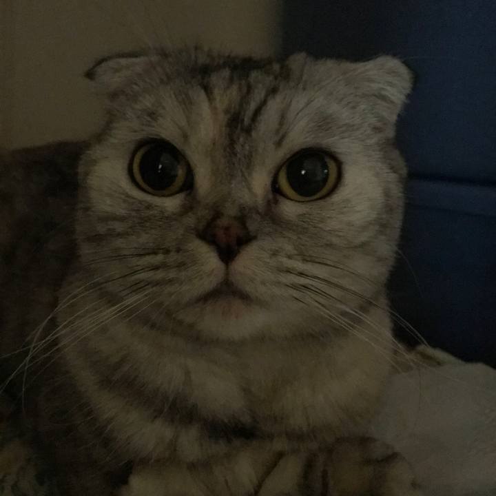 42b05d2f a89b 4302 adc9 4cc374d4ba8d