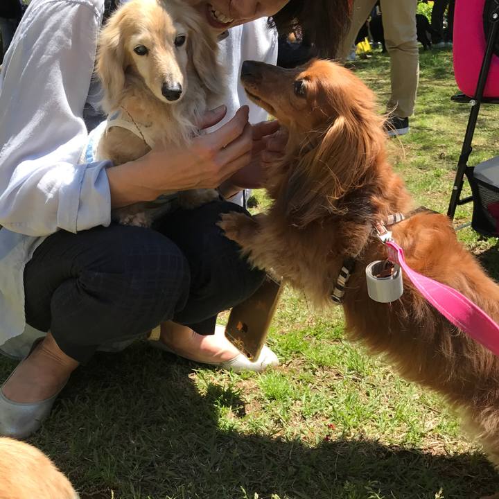 42b07e21 cfc8 4b90 8f21 653501a494a8