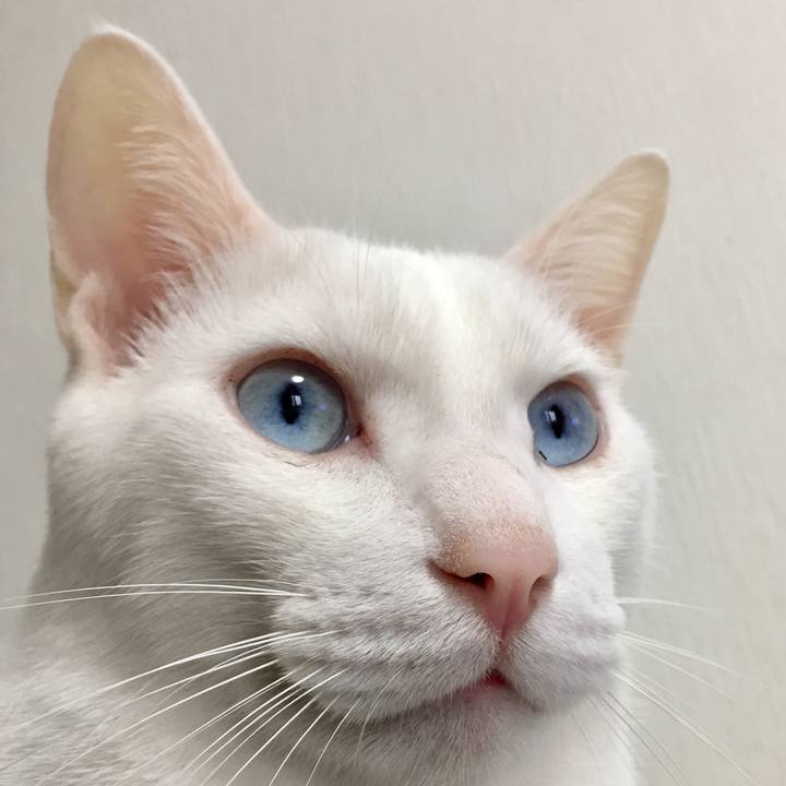 42b09edd bb6a 4388 8331 6d3bc4fe9f34