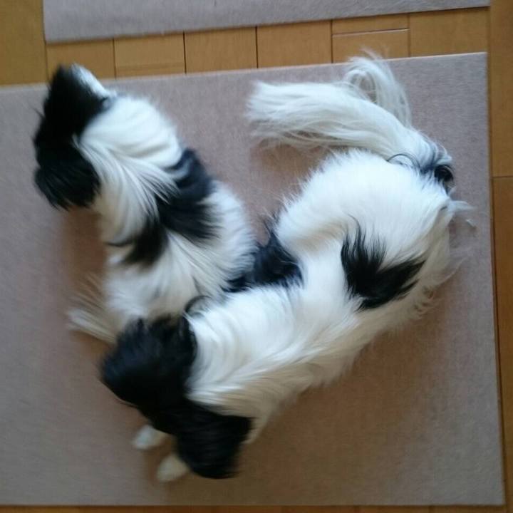 42b12295 e294 4366 8548 7d282713c3ba