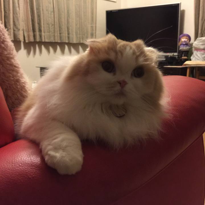 42b13212 314b 41ef a155 010329d7de63