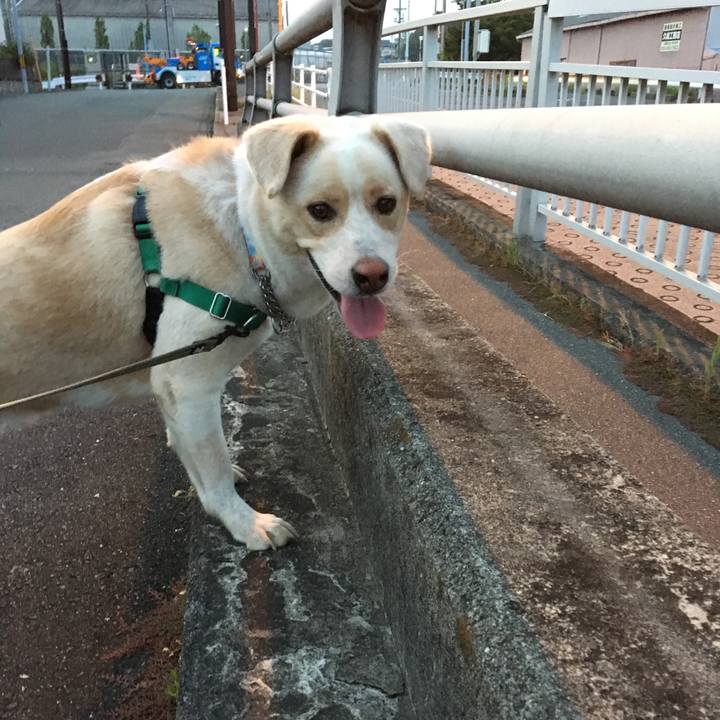 42b1486d 4858 4695 9111 7507adf1fb99