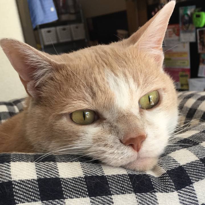 42b20f7c 9e56 45f4 aeec f487f7d5ff1f