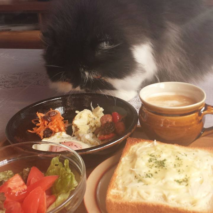 42b21924 1ca5 4ed7 925d 657a7c2e247b