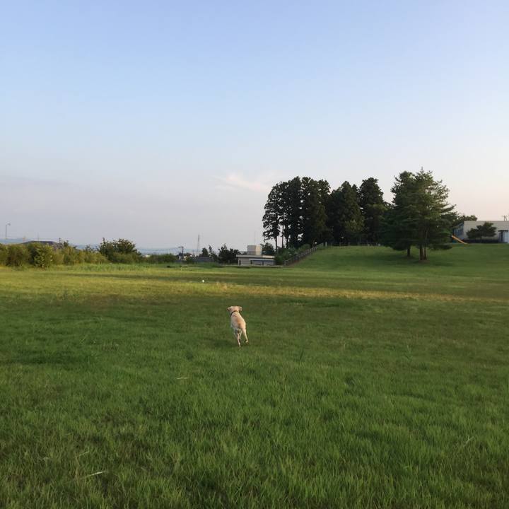 42b21d11 2efe 427d b075 7d44b1abf6e7