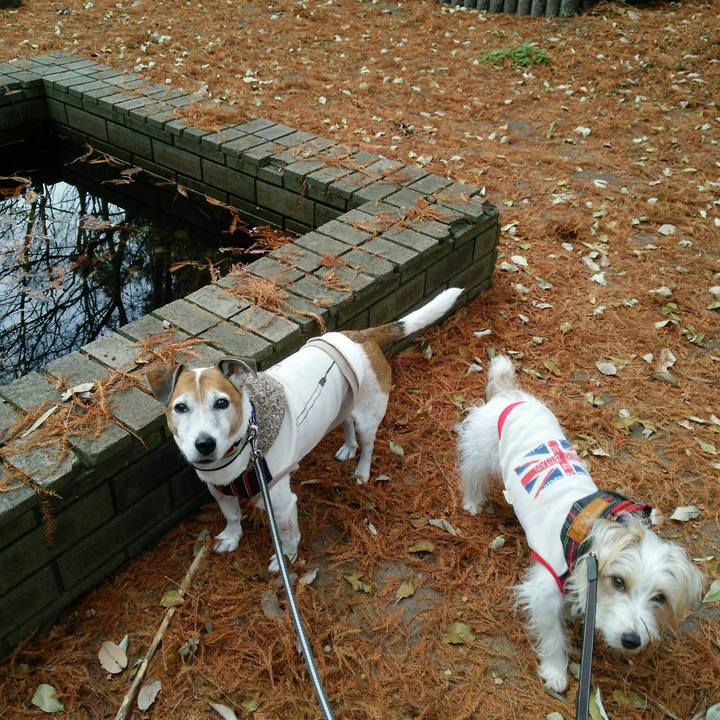 42b23397 978b 4bd5 b921 8ce77d52b54e