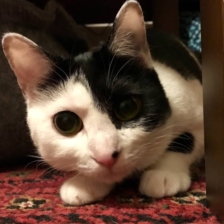 42b25092 63c3 4820 8b75 c38e51d2204c