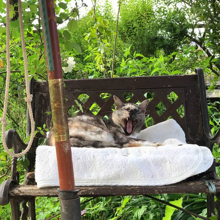 42b37b9b 024a 4514 b5b9 1873ebeb6f6a