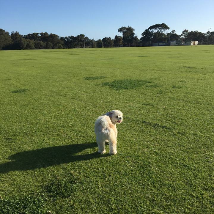 42b3920c a262 42b0 bf0a f215a0c722b4